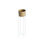 Aberto Design Maceta Decorativa GED-025-C Blanco y Dorado